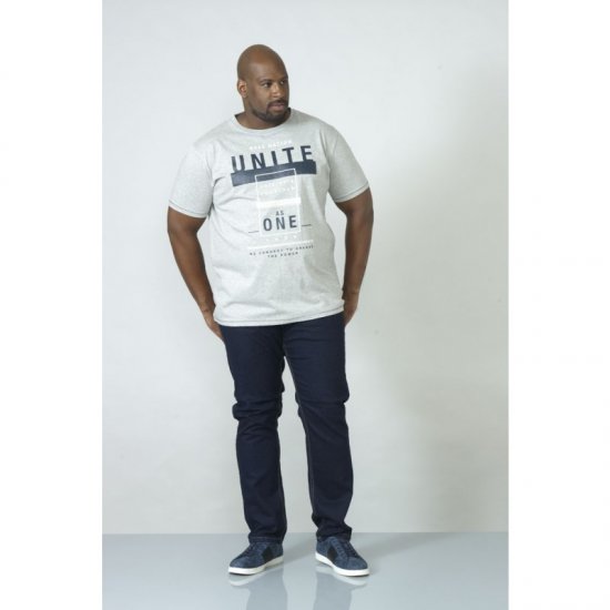 D555 Phillip T-shirt Grey - T-särgid - Suured T-särgid 2XL – 14XL