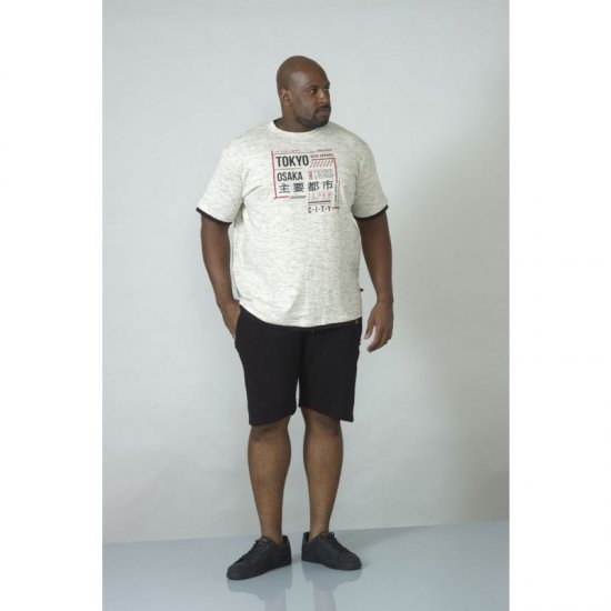 D555 Merlin T-shirt Grey - T-särgid - Suured T-särgid 2XL – 14XL