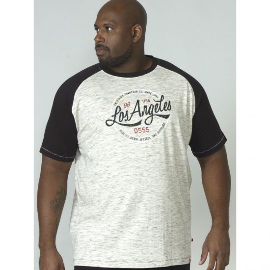 D555 Judson T-shirt Grey - T-särgid - Suured T-särgid 2XL – 14XL