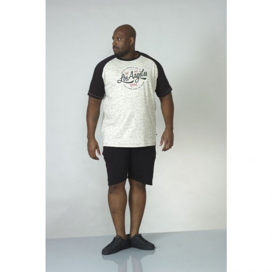 D555 Judson T-shirt Grey - T-särgid - Suured T-särgid 2XL – 14XL