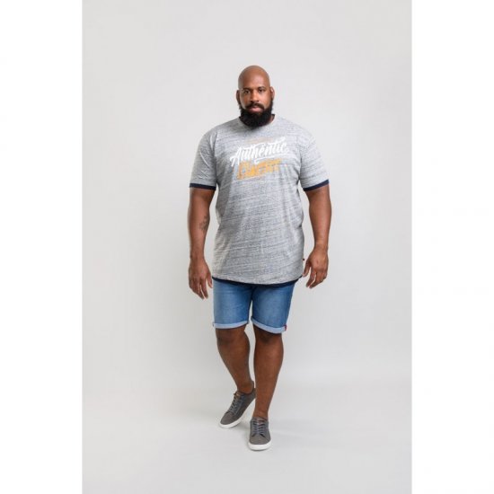 D555 Finn T-shirt Grey - T-särgid - Suured T-särgid 2XL – 14XL