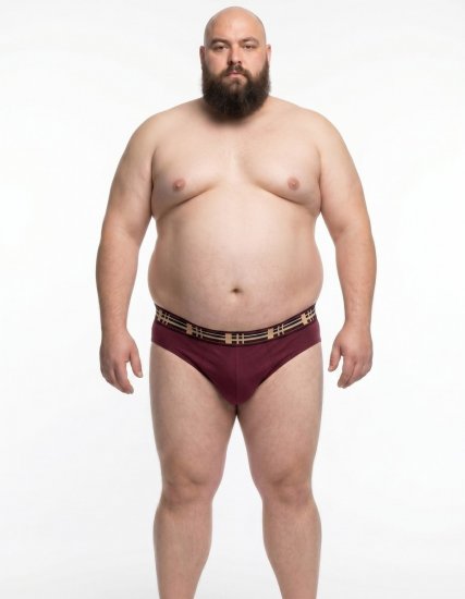 20 Nodi 975 Aluspüksid 3 tk Veinipunane/Hall/Tumesinine - Aluspesu ja ujumisriided - Aluspesu 2XL-8XL