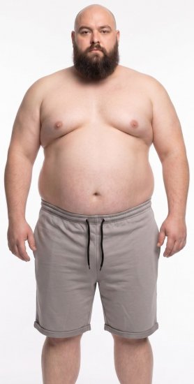 20 Nodi Bora Lühikesed dressipüksid Hall - Dressipüksid ja -šortsid - Spordipüksid ja Lühikesed Spordipüksid
