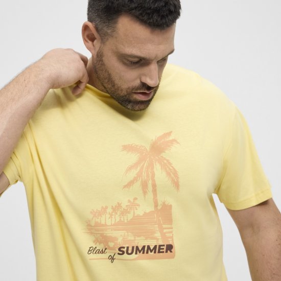 North Latitude T-Shirt Printed Yellow - T-särgid - Suured T-särgid 2XL – 14XL