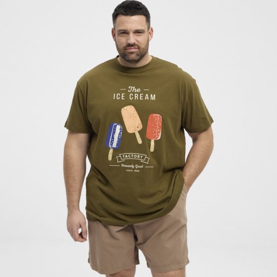 North Latitude T-Shirt Ice Cream Green - T-särgid - Suured T-särgid 2XL – 14XL