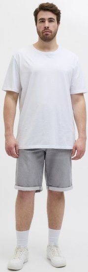 Jack & Jones Rick Icon I.K. GE 063 Shorts Grey Denim - Lühikesed püksid - Lühikesed Püksid suured suurused: W40-W60