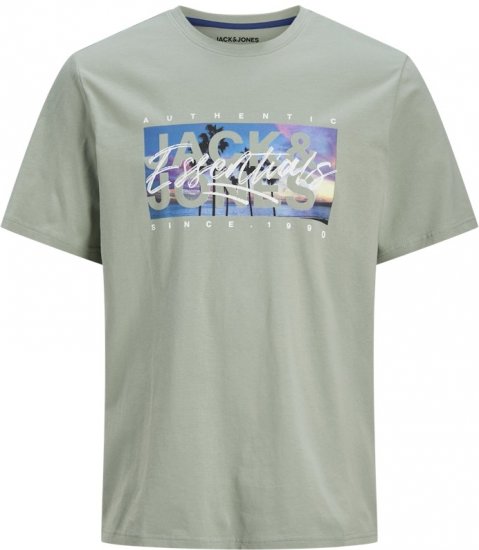 Jack & Jones Colton Photoprint Crew Neck T-Shirt Iceberg Green - T-särgid - Suured T-särgid 2XL – 14XL