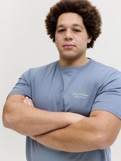 Jack & Jones Archive T-särk Hall - T-särgid - Suured T-särgid 2XL – 14XL