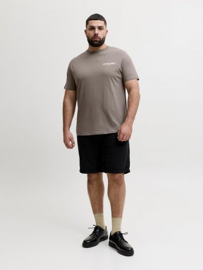 Jack & Jones Oscar T-Shirt Grey - T-särgid pildiga - 