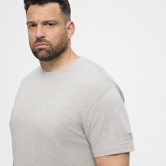 North Latitude T-Shirt O-Neck Grey Melange TALL - TALL T-särgid - T-särgid pikkadele meestele